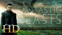 Watch Fantastic Beasts and Where to Find Them 2016 Full Movie ❊ 1080p HD ❊ English Sub