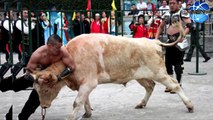 Best funny Videos 2016 - Funny bullfighting festival in Spain - Crazy BullFighting !! woow !!