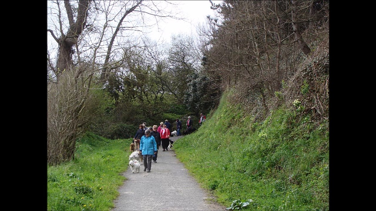 Sortie éducation canine 1er mai 2016