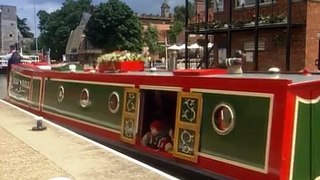 Rosie and Jim 815 - Hop To The Hospital