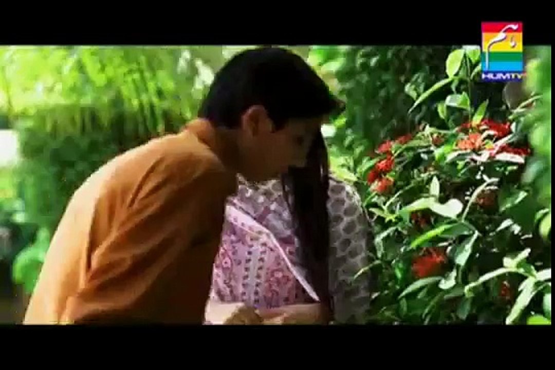 humsafar complete episode 7
