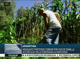 Argentinos denuncian falta de regulación sobre soberanía de semillas