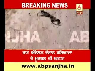 There is possibility of gangrape in Murthal- Haryana Government