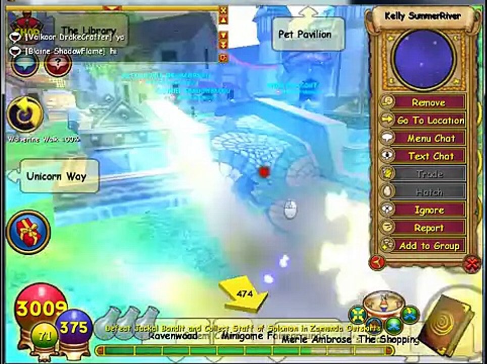 Buy Sell Accounts - Wizard101 account for sell or trade september 2013(2)
