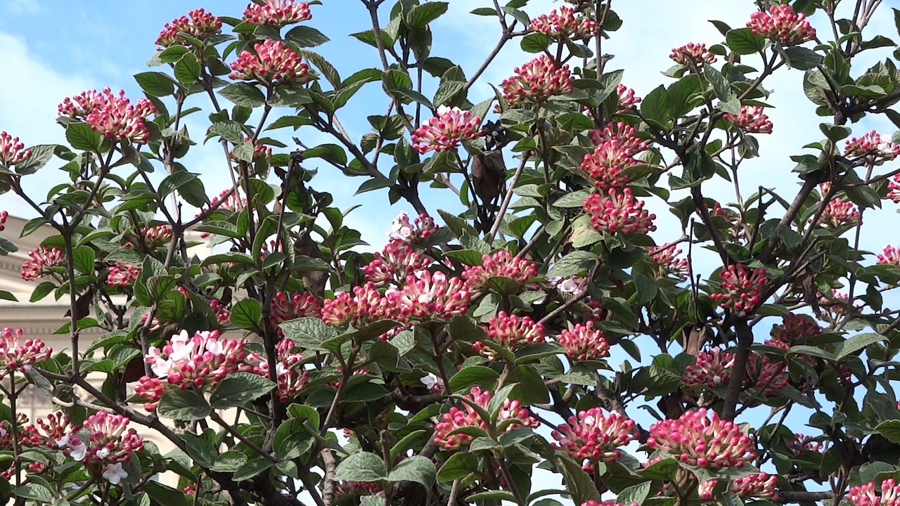 1 мая у Большого Театра