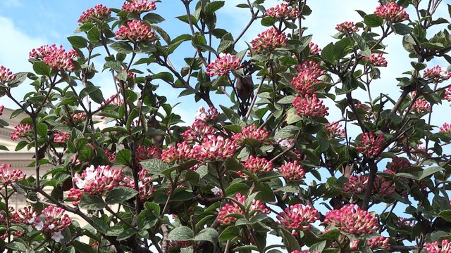 1 мая у Большого Театра