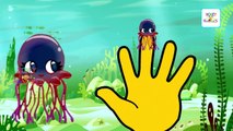 Finger Family Rhymes for Children Sharks Jelly | Fish Cartoon Finger Family Children Nurse
