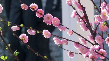 Московская весна: красота и пробуждение природы