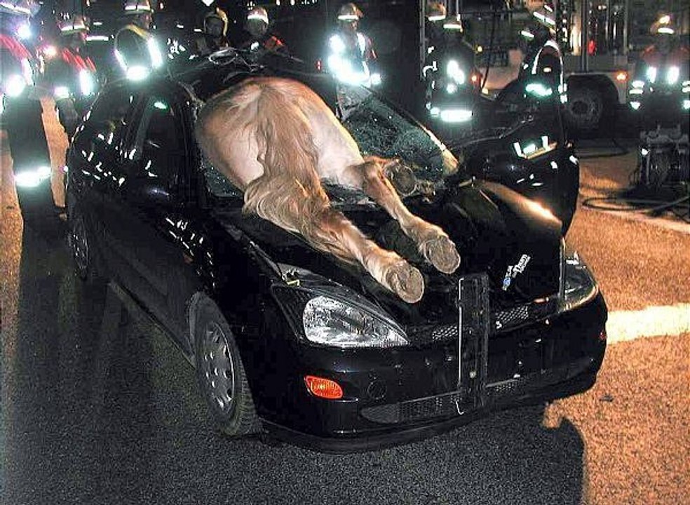 Personas con Suerte Accidentes