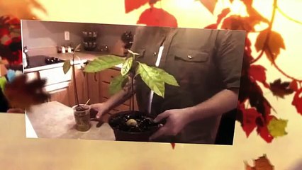 Versa Acqua Bollente Su Una Mela Comprata Al Supermercato: Quello Che Scopre E' Sconvolgente !! - VIDEO CHOC