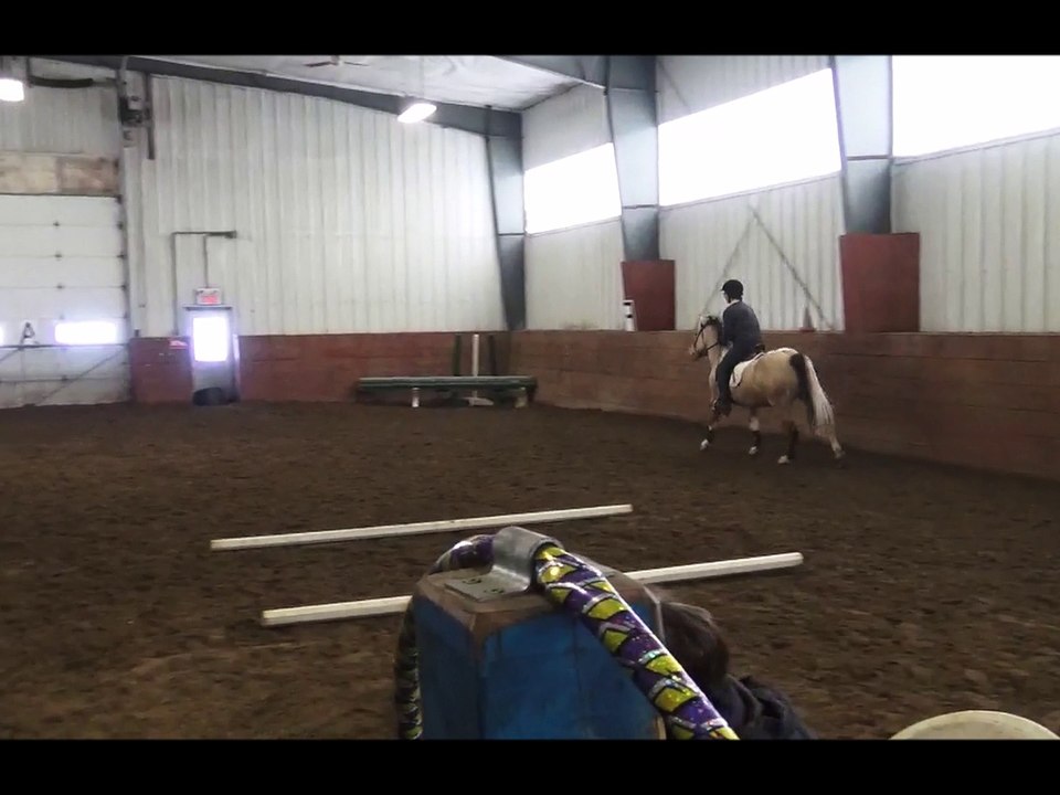 Équitation - Laurie - 2016-03-05