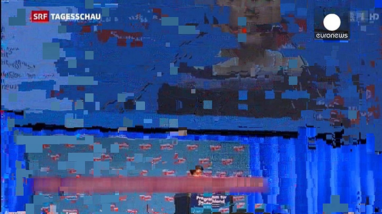 Germany's AfD party adopts anti-Islam manifesto