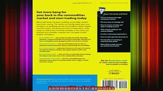 Full Free PDF Downlaod  Commodities For Dummies Full EBook