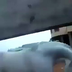 گھوڑے کا ڈانس دیکھو