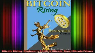READ book  Bitcoin Rising Beginners Guide to Bitcoin Great Bitcoin Primer Online Free