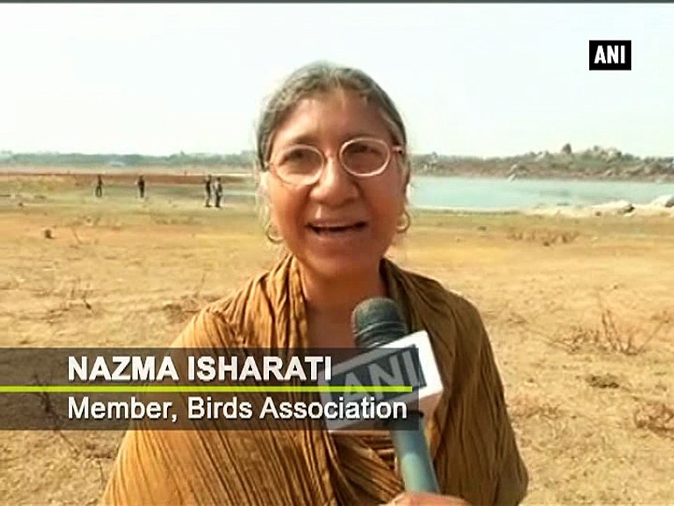 Scorching heat affects migration of flamingos in Hyderabad