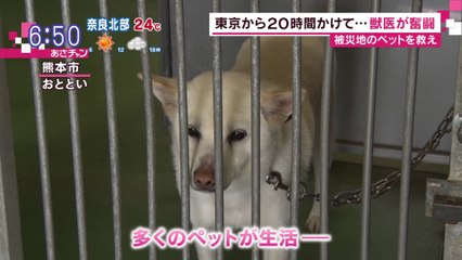 熊本震災　被災ペットを救え　獣医が奮闘