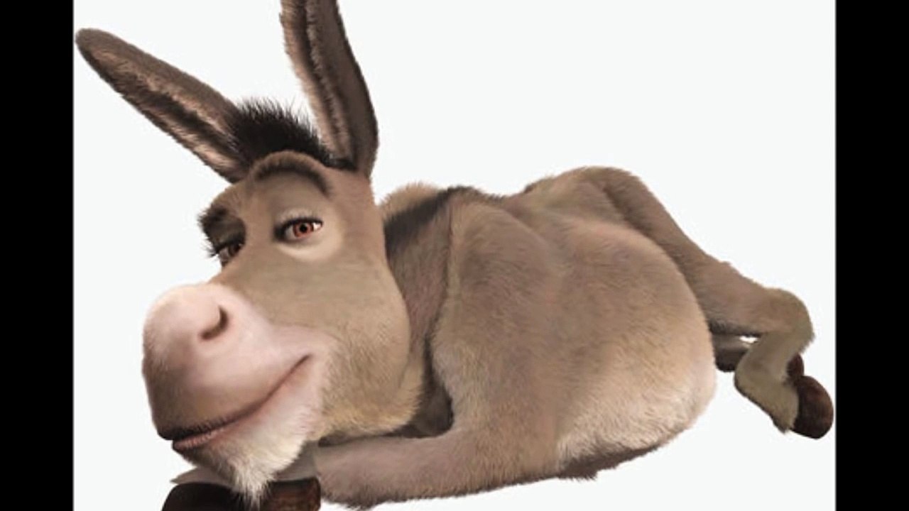 Kral Eşek çocuk şarkısı - Kral Eşek okul şarkısı dinle