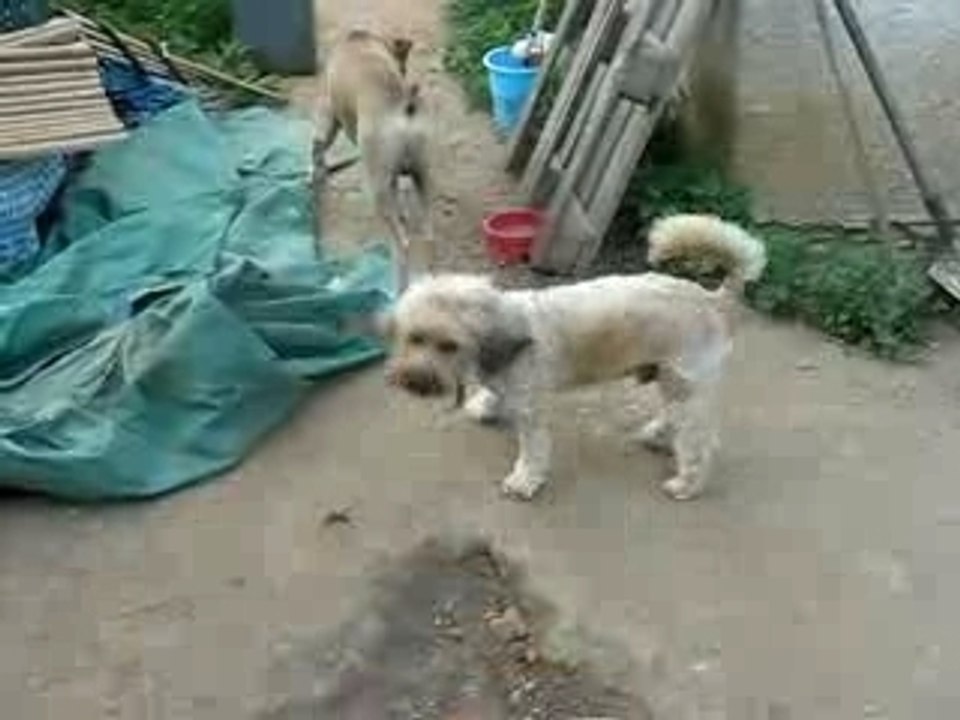 24.06.07 vidéo