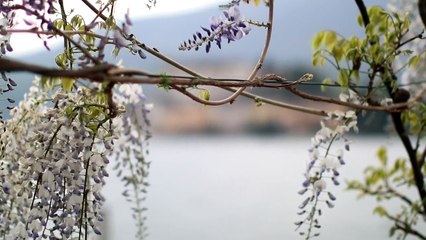Lago di Mergozzo e Lago d'Orta