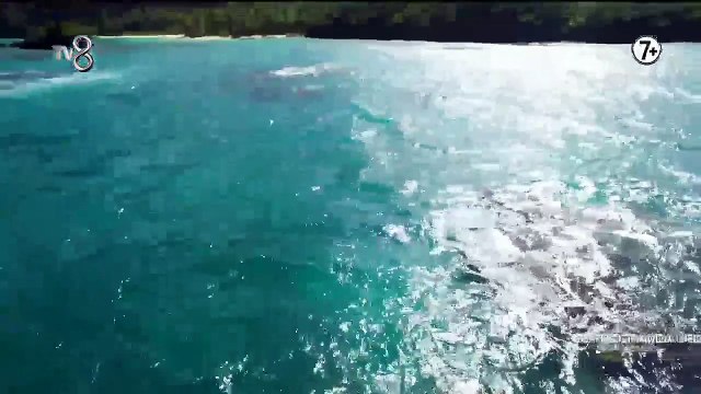 3 Adam'dan birleşme partisine özel unutulmaz Survivor skeçleri