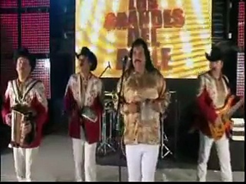 tropical panama y tigrillos