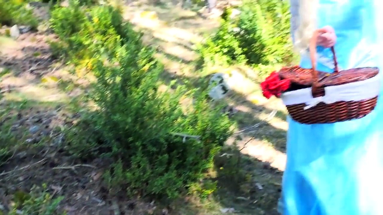 Spiderman & Frozen Elsa vs King Kong! Spider-Man saves Elsa! Superhero Fun in Real Life -)