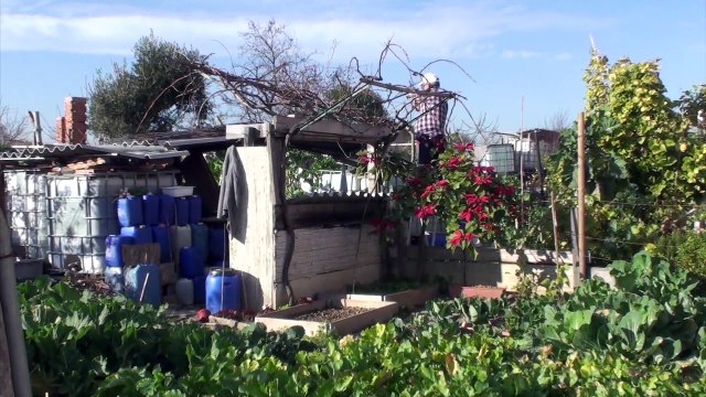 LISBOA Potagers Urbains_2015