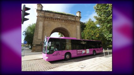Face à la Presse - Franck Duval - Directeur des Tamm