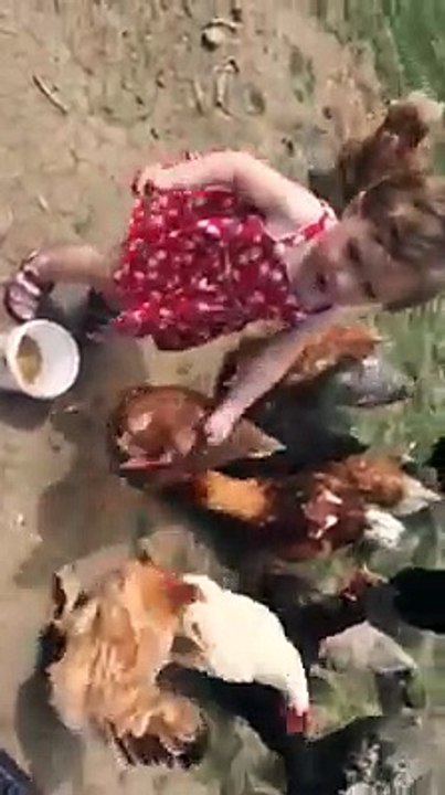 hen and angry kid
