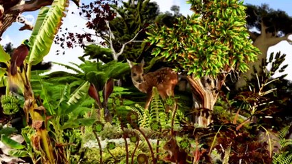 Rebuilding and forest protection in Nepal | Global 3000