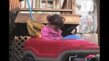 Baby girl falls asleep behind the wheel | Sleeping Babies | toddletale