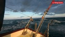The Transat bakerly. A bord de Pen Duick, Loïck Peyron sur les traces du maître Tabarly