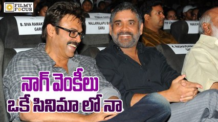 Venkatesh and Nagarjuna together in Nagachaitanya Movie - Filmyfocus.com