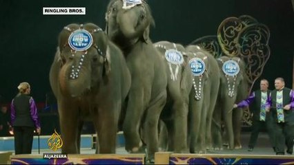 Circus retires elephants: animal tricks 'no longer wanted'