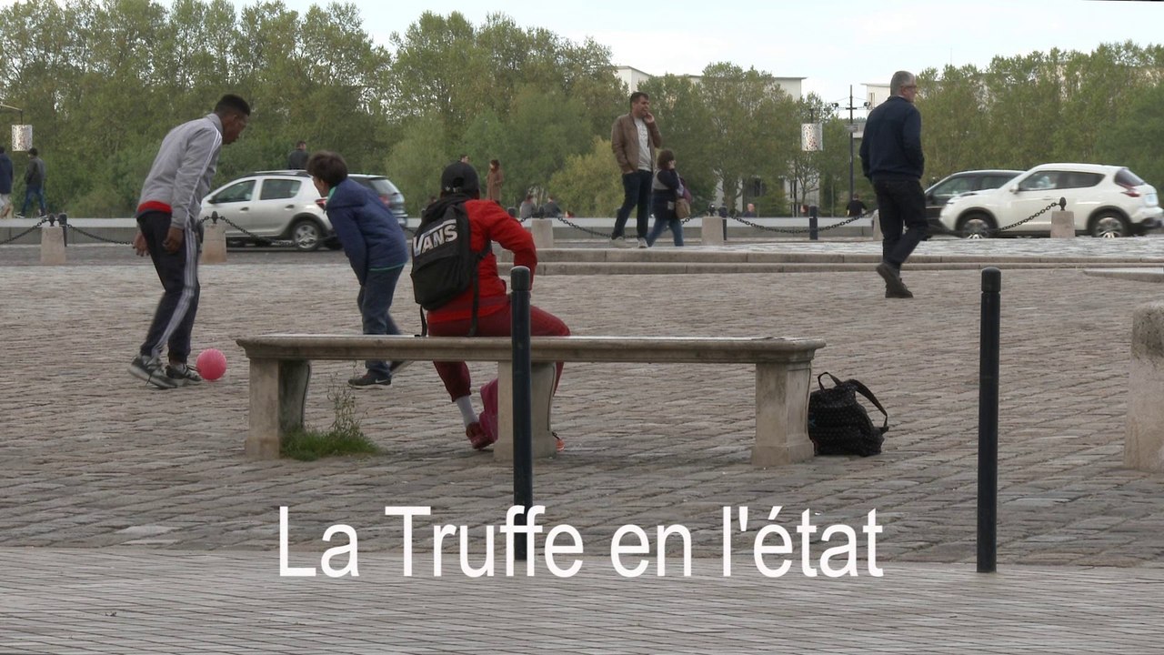 REGARD 392 - Rendez-vous avec Laurent Croizier auteur du PETIT LIVRE SUR LA TRUFFE - RLHD.TV