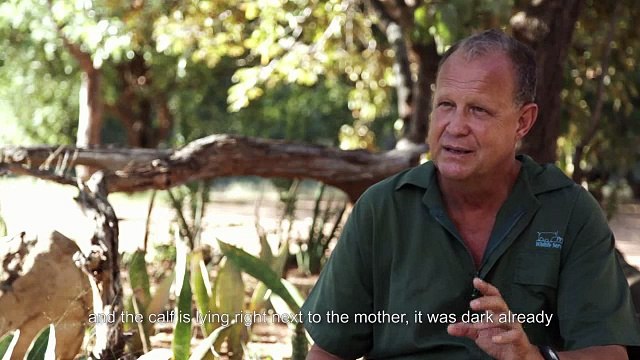 Meet Six Rescued Rhinos That Survived Poaching