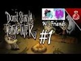 (COLLAB) Don't Starve Together w/ Friends #1