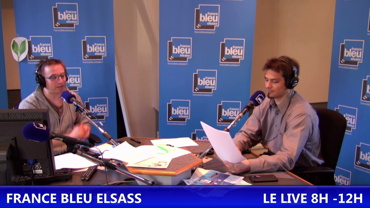 L'Alsace vue par le web avec Pierre Nuss - Jumelles à Strasbourg