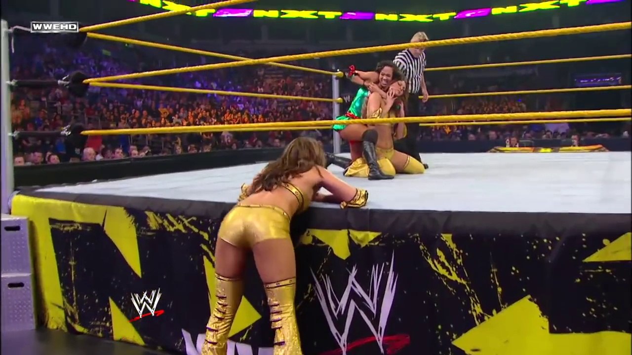 NXT AJ Lee vs Brie Bella 2010