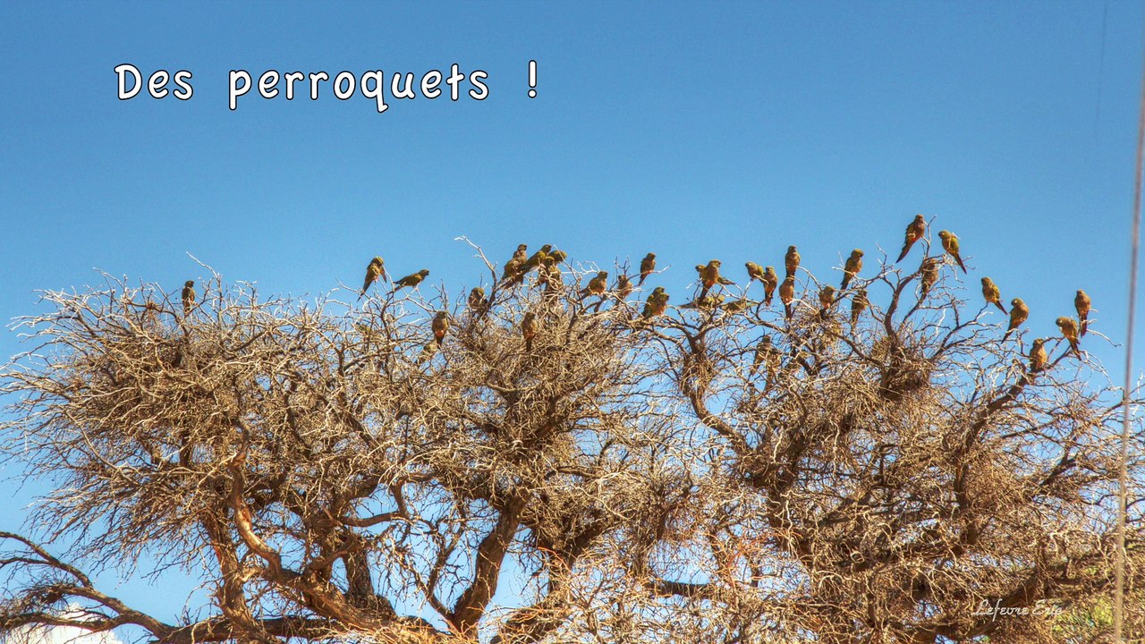 Diaporama Argentine -02 - Cafayate - Cachi Mars 2014