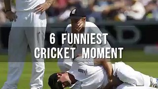 Funny cricket moments