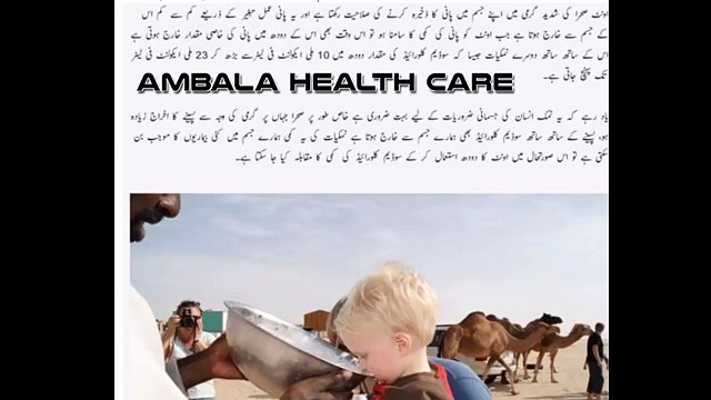 Oontni Ka Doodh Qeemti Fawaid Ka Hamil _ Oontni Ke Doodh Ke Fayde Aur Istemal