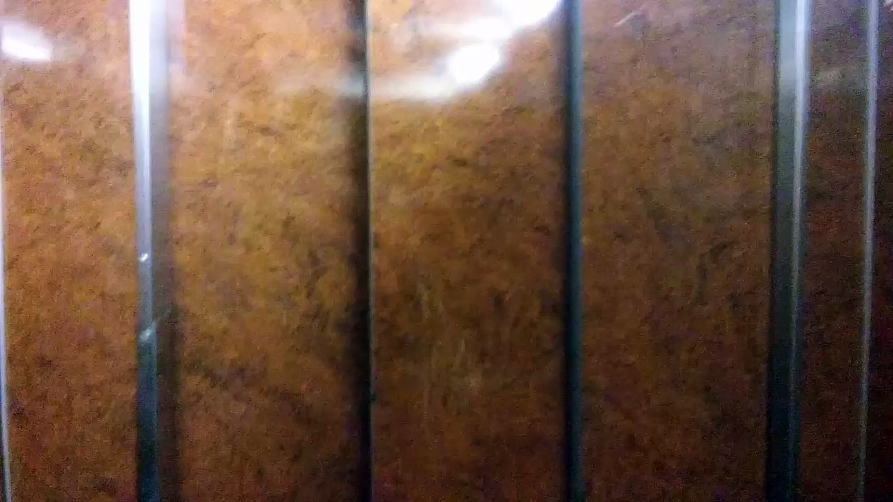 MOV_1810