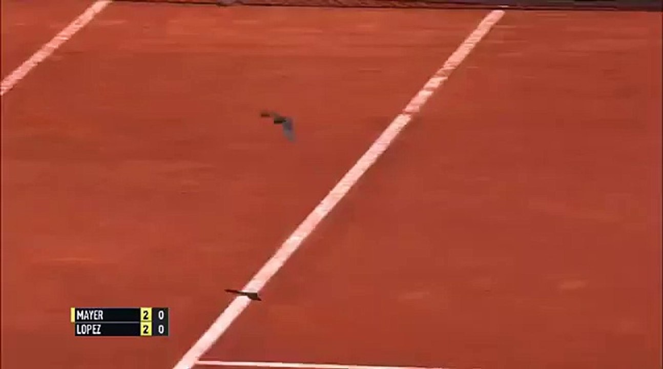 Yarasa yolunu şaşırdı!
