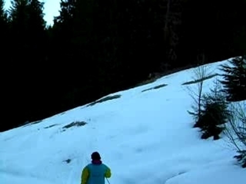 DSCN0079