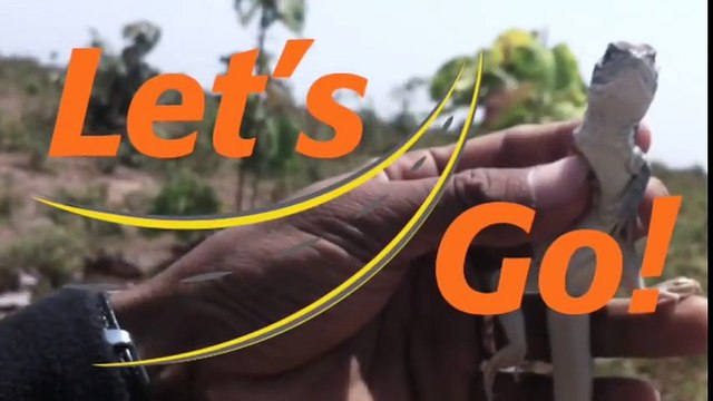 Man vs Wild Lizard ➢ The Hunter Attacks Wild Lizard ➢ When Animals Attack