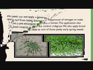 Lawn care company St Louis Mo