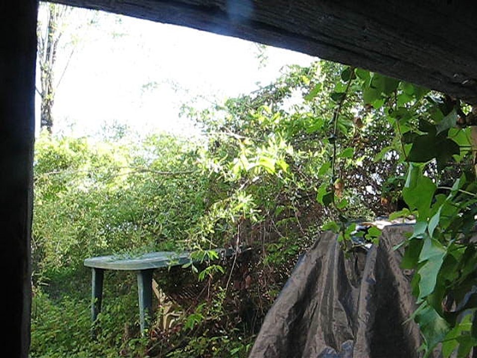 MVI_6197