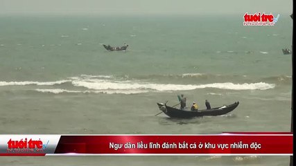 Ngư dân liều lĩnh đánh bắt cá ở khu vực nhiễm độc